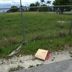 Victoria Valencia in 'Bangbros' Victoria la Cubana (Thumbnail 810)