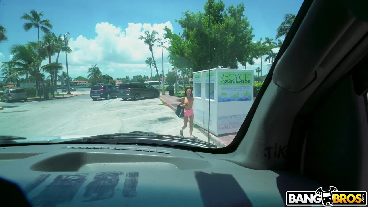 Bangbros 'Tiny Asian Pussy Stretched on The Bus' starring Vina Sky (Photo 1)