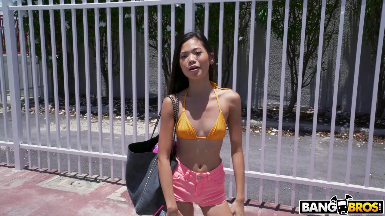 Bangbros 'Tiny Asian Pussy Stretched on The Bus' starring Vina Sky (Photo 22)