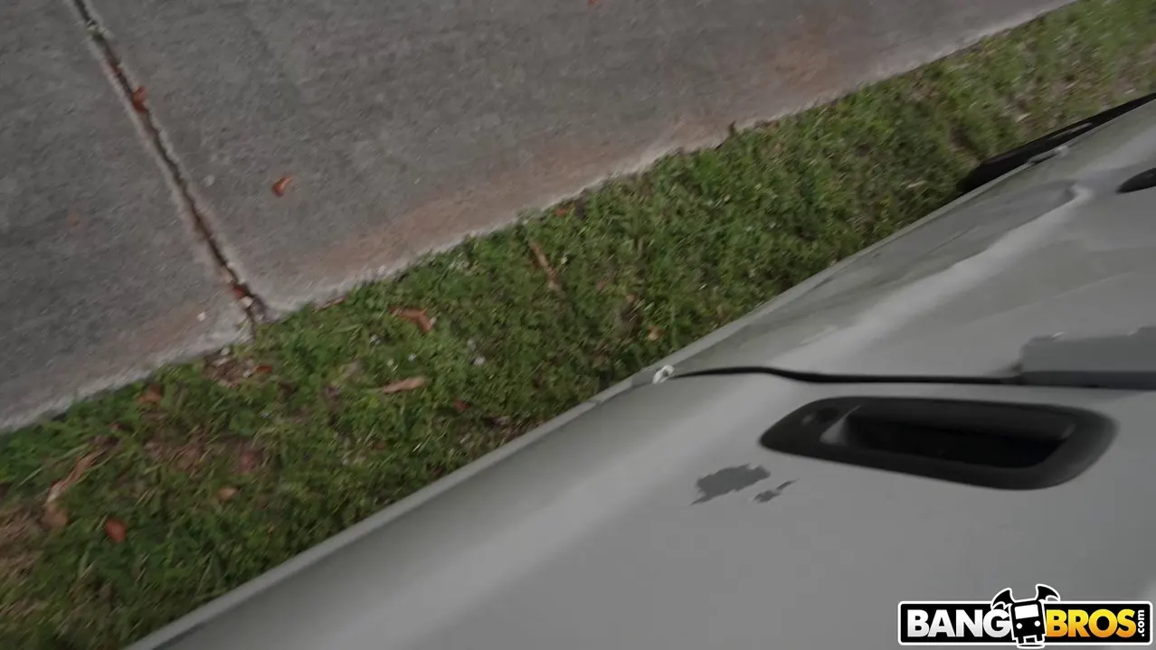 Violet Reign en 'Linda chica se deja follar en el autobús' from 'Bangbros' (foto 75) Bangbros 'Linda chica se deja follar en el autobús' protagonizando Violet Reign (foto 75)