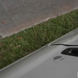 Violet Reign en Linda chica se deja follar en el autobús (foto 75) Violet Reign en 'Bangbros' Linda chica se deja follar en el autobús (Miniatura 75)