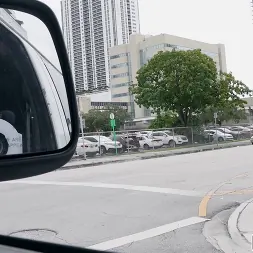 Vivianne DeSilva en 'Bangbros' Transporte anal (Miniatura 1)