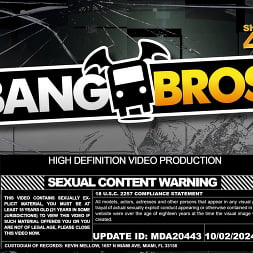Zoey Foxx en 'Bangbros' Sirvienta para aliviar el estrés (Miniatura 1)